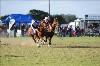 UKPA  NC Sat_1518